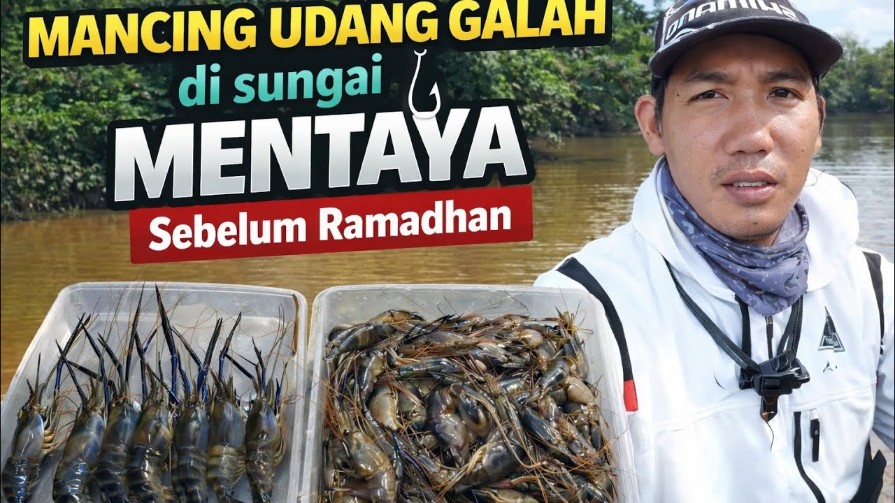 TRIP MANCING UDANG GALAH SEBELUM RAMADHAN TIBA-SUNGAI MENTAYA! #fyp #foryou #fishing #youtubeshorts 