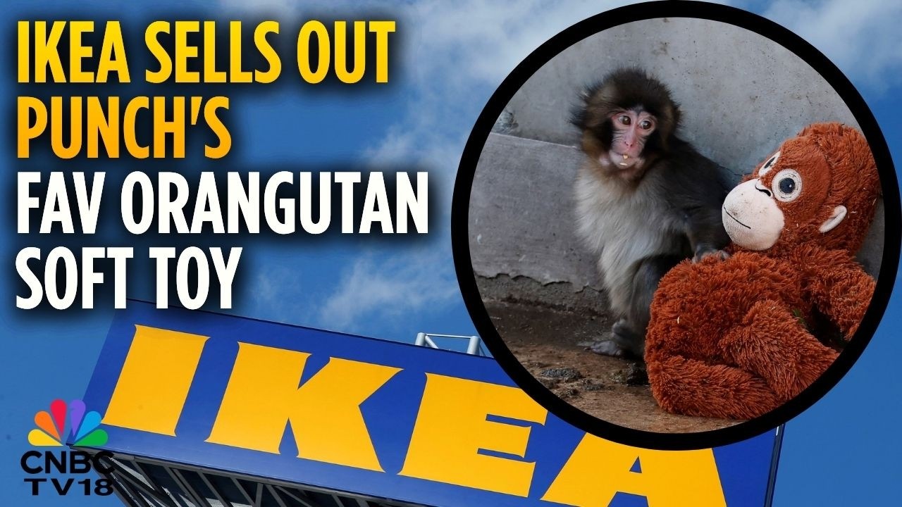 Плюшевая игрушка-орангутан от IKEA распродана после того, как детеныш обезьянки по кличке &laquo;Панч&raquo; ...