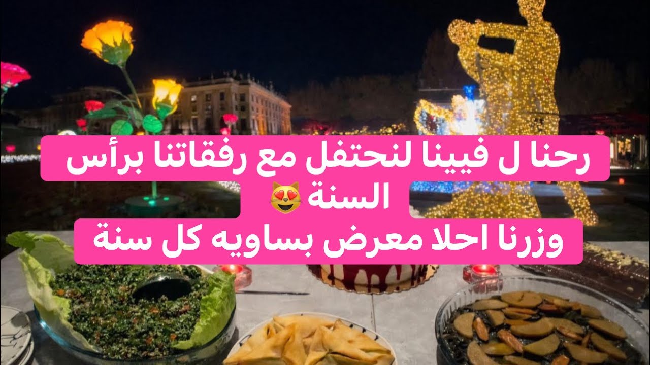 احتفلنابراس السنةب #فيينامع رفقاتنا ورحنا #قصر #Schönbrunnوخلصت سنة#2025ب احلا مفاجأة لسنة#2026