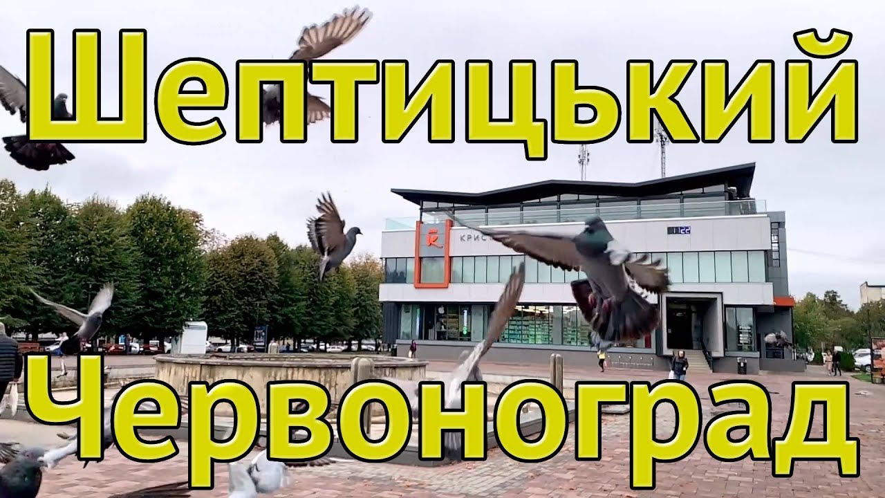 Шептицький Червоноград