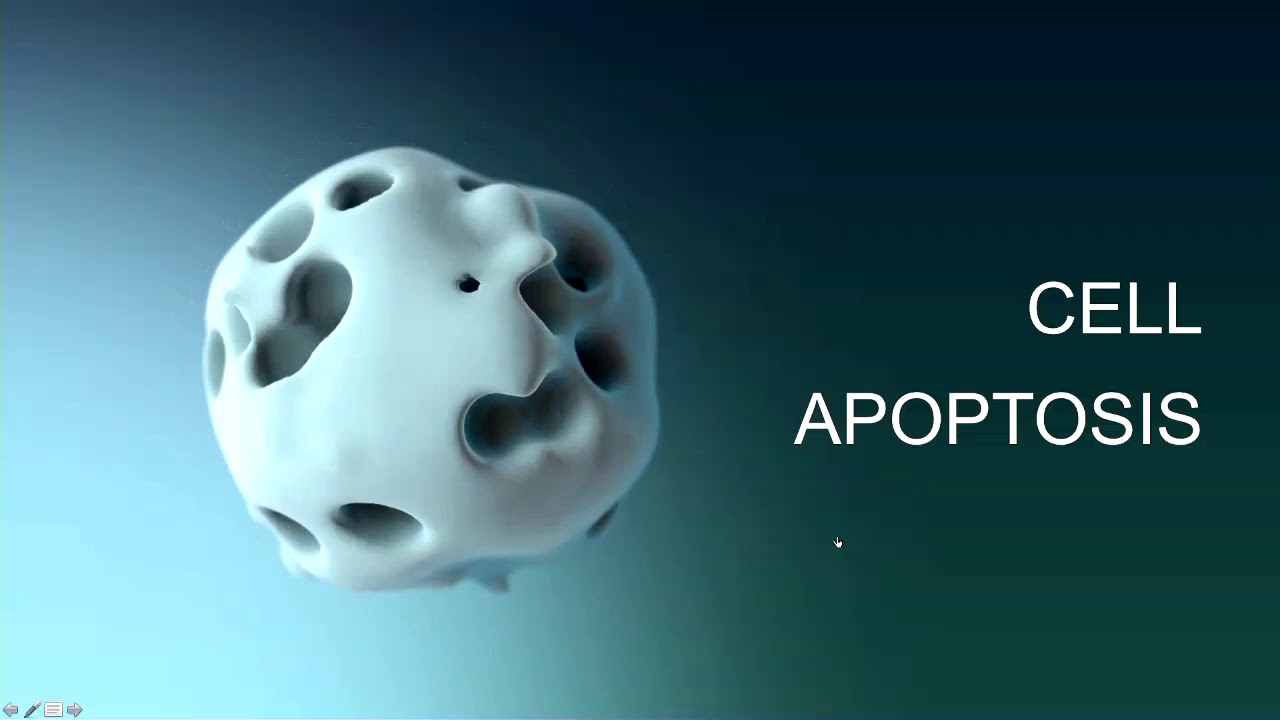 Creating Organic Animation with C4D Volume Mesher: Elizabeth McDonald