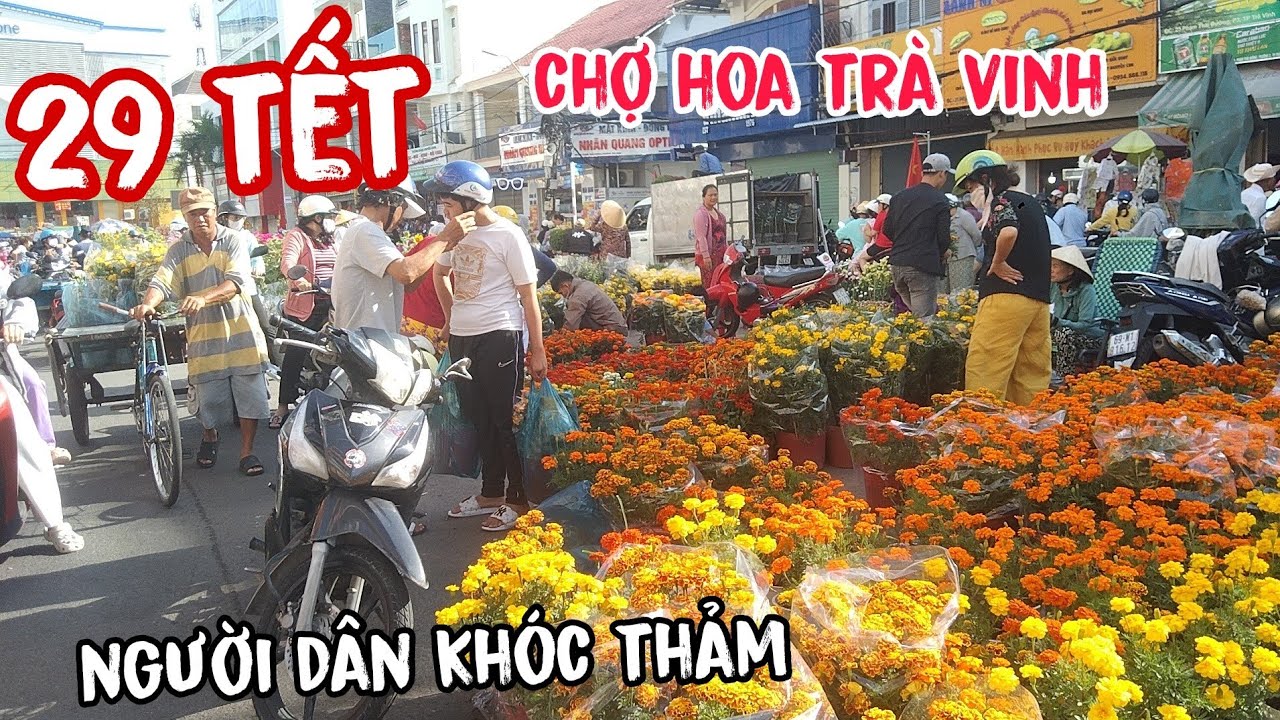 29 tết chợ hoa trà vinh khóc thảm đang phát trực tiếp!