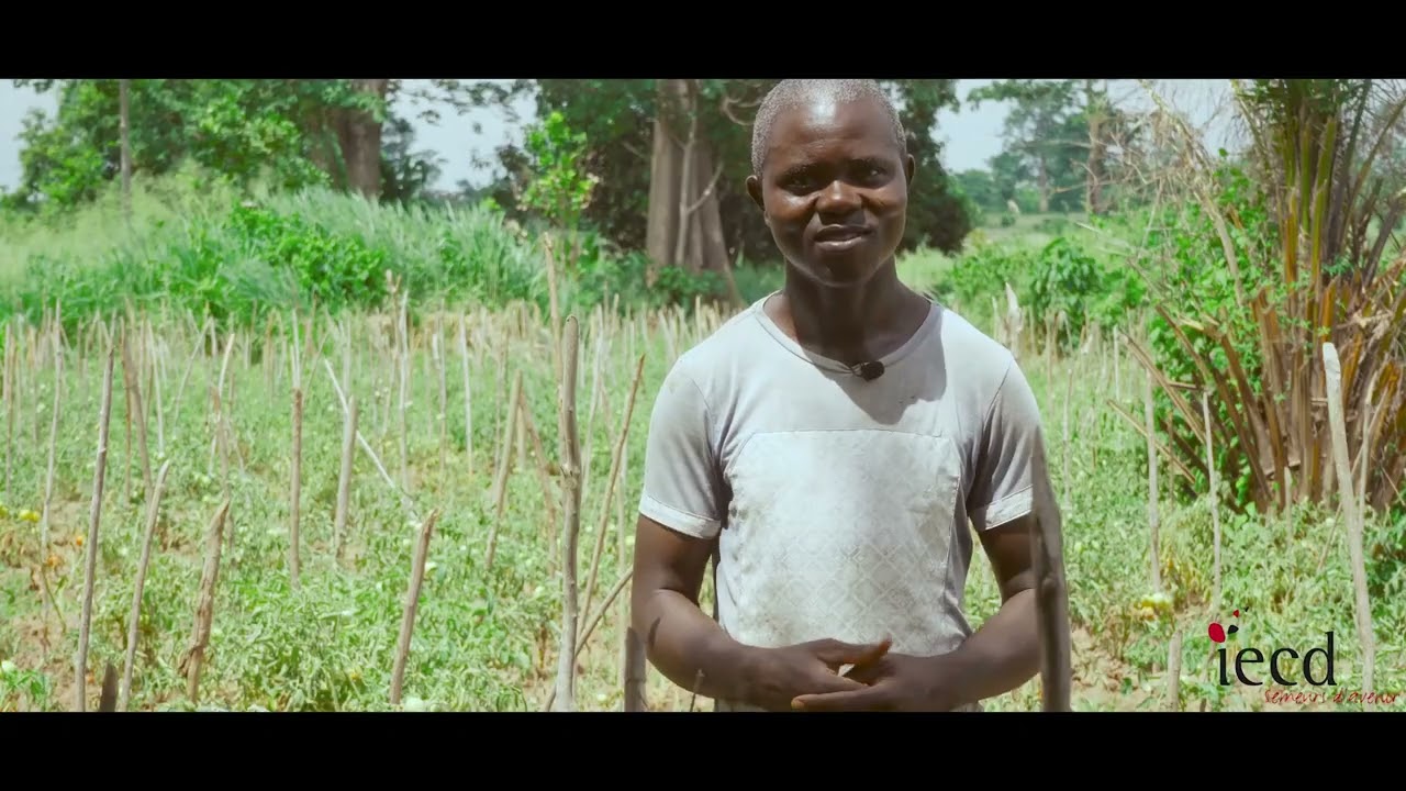 Projet TAMCI. Fertilisation organique