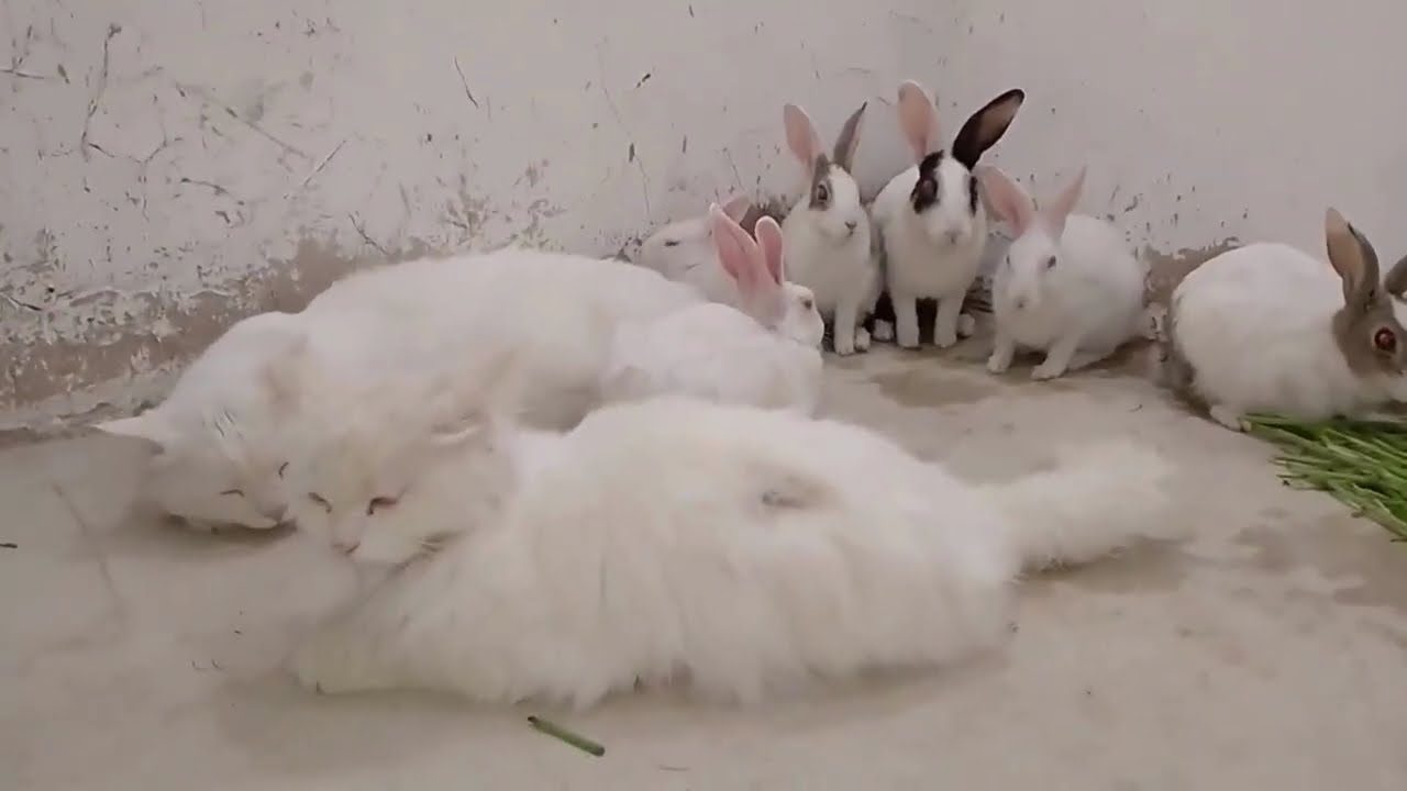 90's Sadabahar Songs | हिंदी सदाबहार गाने | Hindi Sadabahar Songs | Hindi Songs | 90's Old Songs