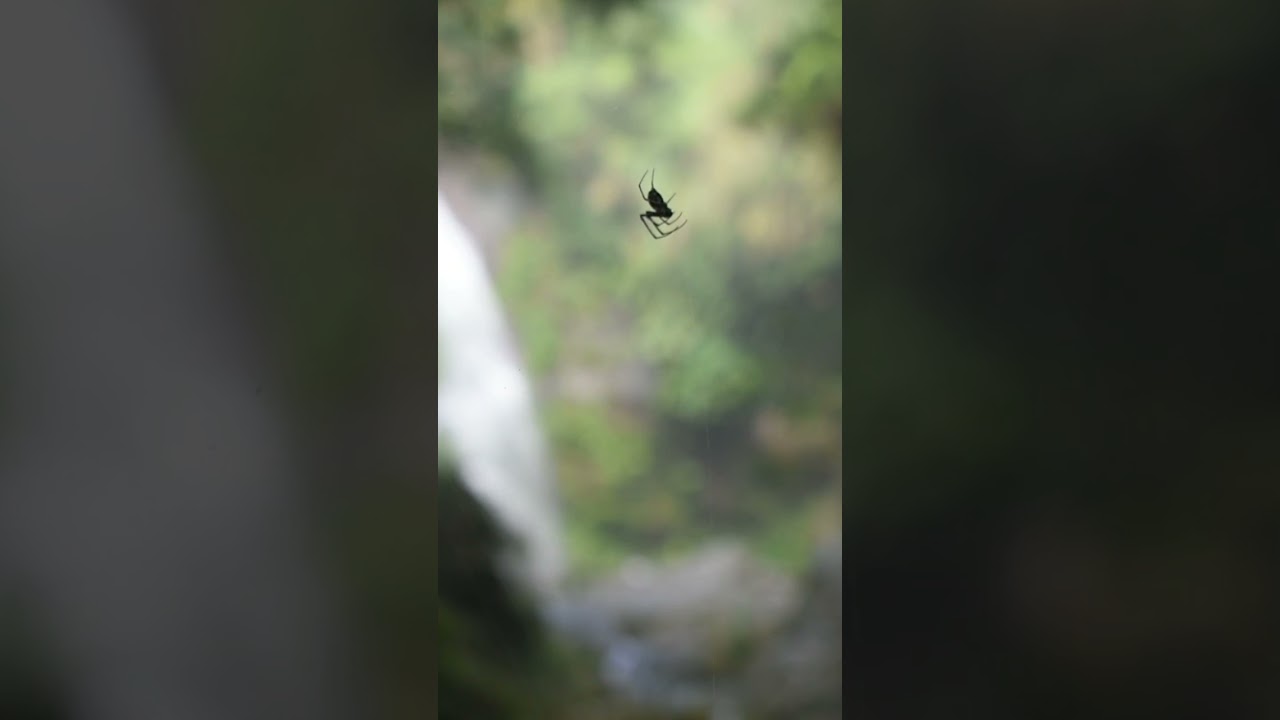 Imugan Falls Santa Fe Nueva Vizcaya
