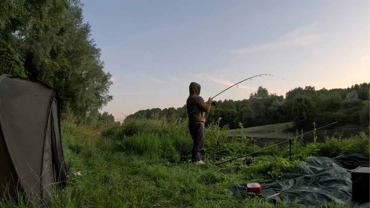 Pêche de la carpe en canal à grand gabarit