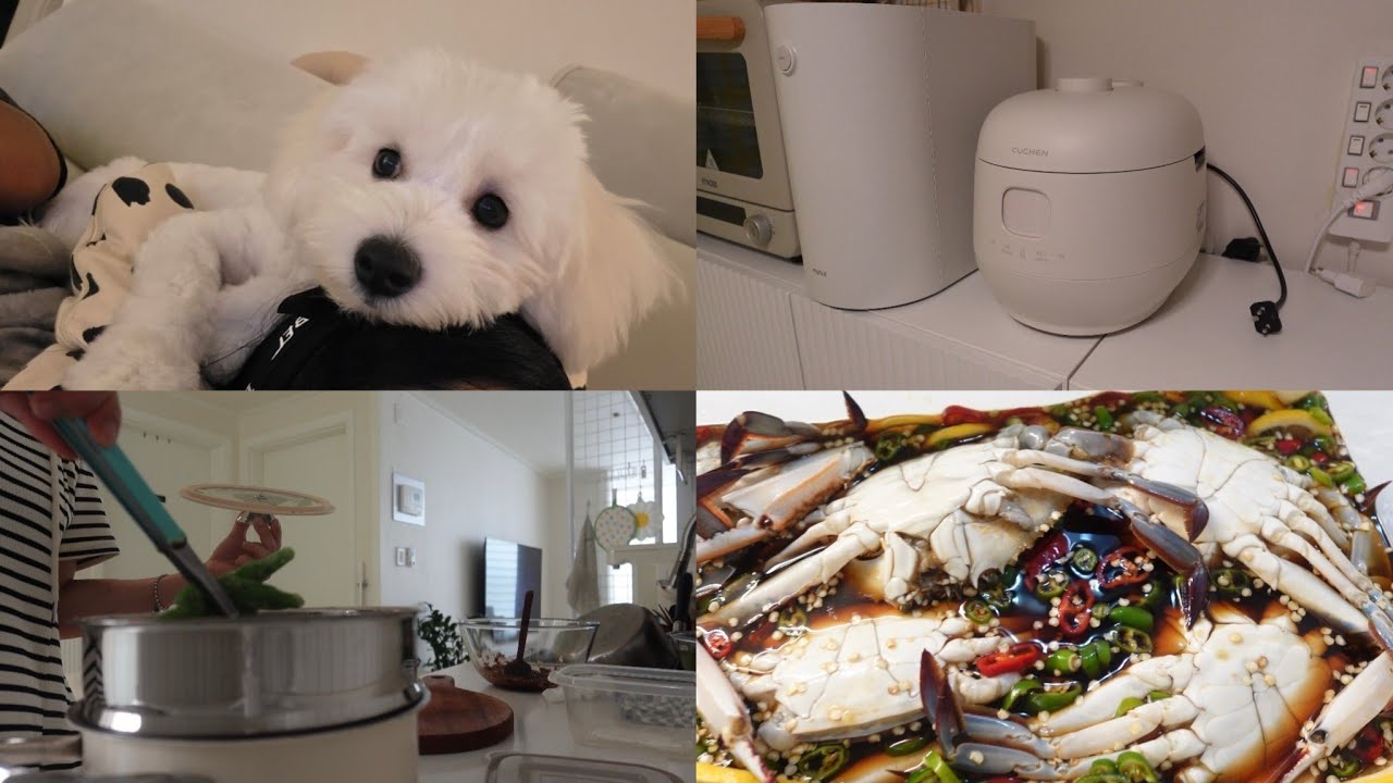 전기밥솥 구매 | 초간단 간장게장 만들기 | 아빠를 위한 밑반찬 만들기