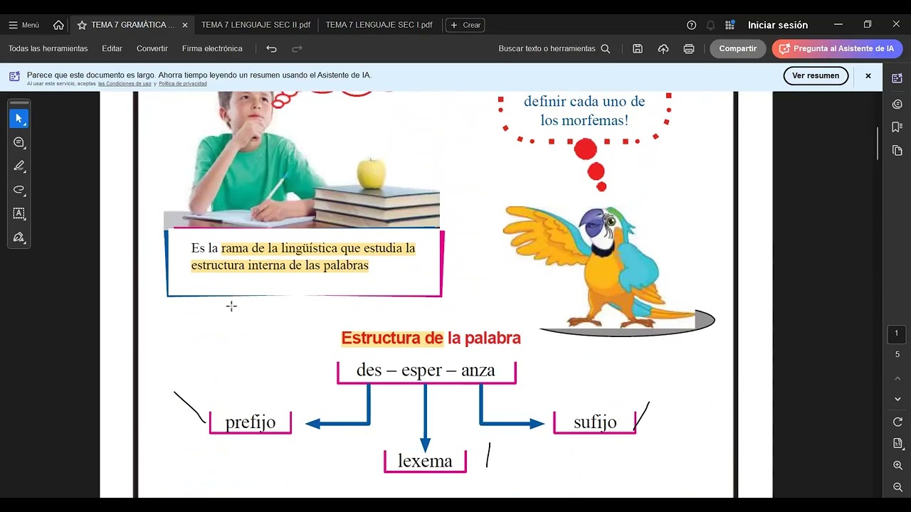 T 7 GRAMÁTICA PRIM I