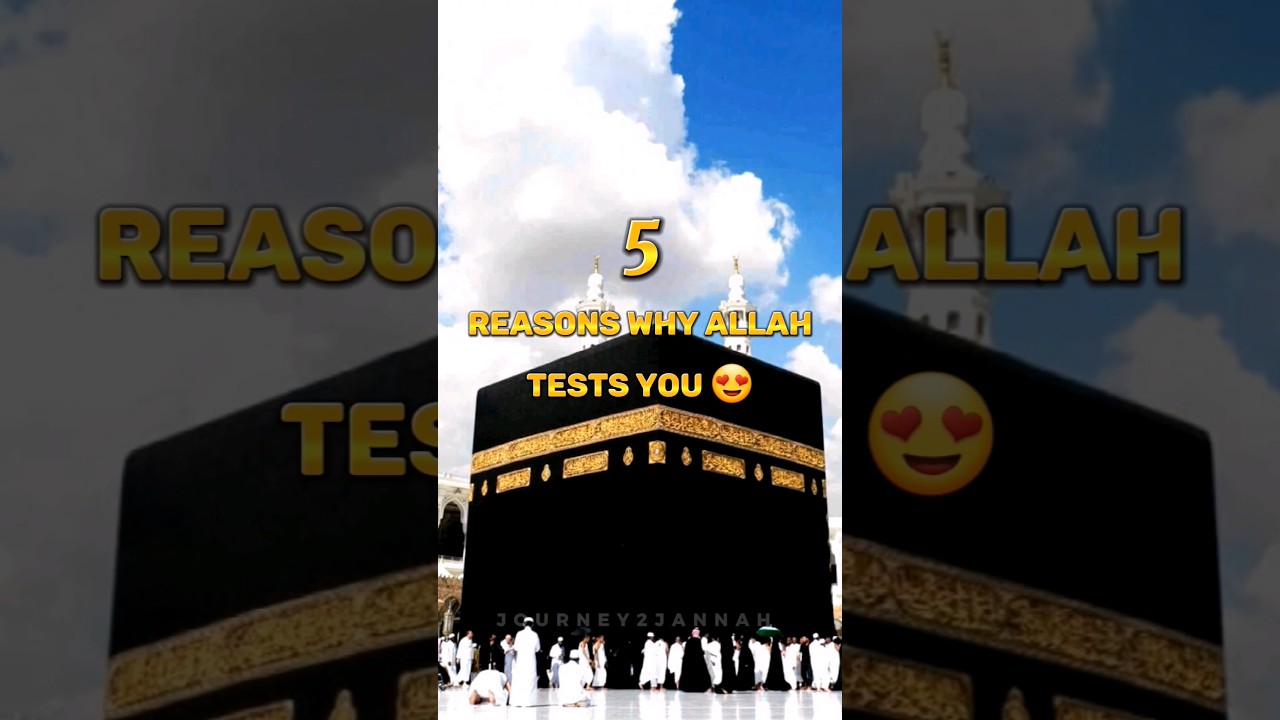 5 Reasons Why Allah Tests Us 😍☝️✨