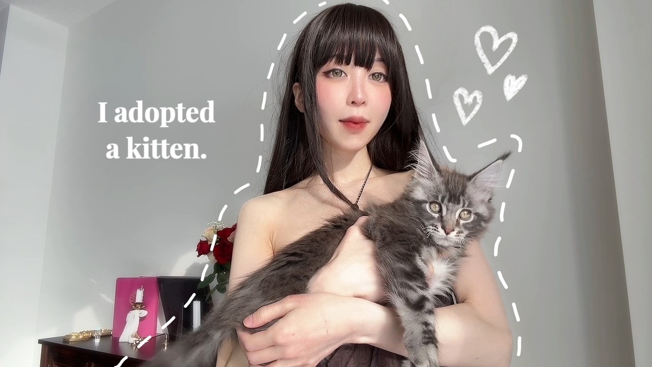 I adopted a kitten! 🐾 supplies haul + first day
