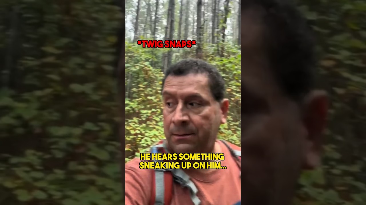 Самый ЗАГАДОЧНЫЙ лес в Америке&hellip;
