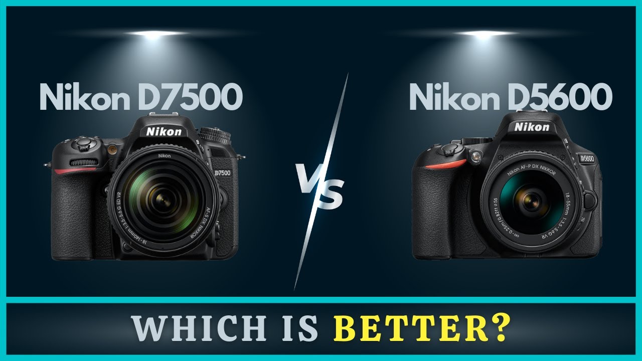 Nikon D5600 vs D7500 | 10+ Common Strengths & Weakness