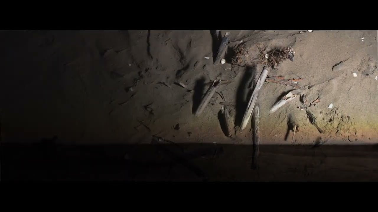 Aluet - Sturm Und Drugs (Official Video)
