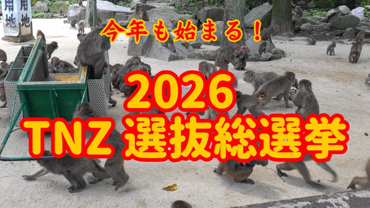 冬のイベント！ 2026 TNZ選抜総選挙！！【高崎山自然動物園 モンキーパーク】