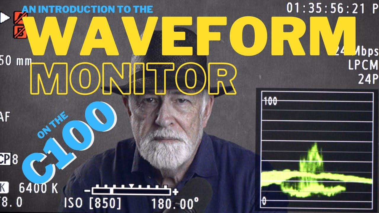 The WaveForm Monitor - an introduction to how to interpret it on the Canon C100.