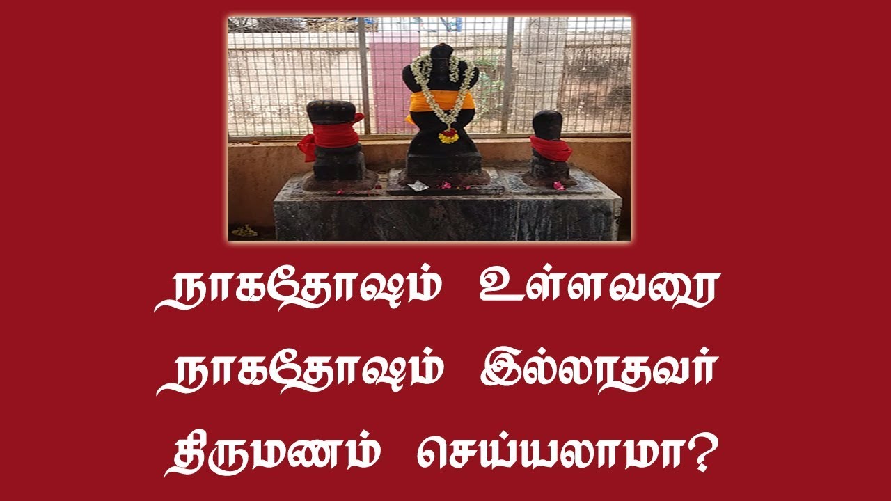 நாக தோஷம் என்றால் என்ன? என்ன செய்யும்? | Naga thosam palangal tamil | Naga Dhosam