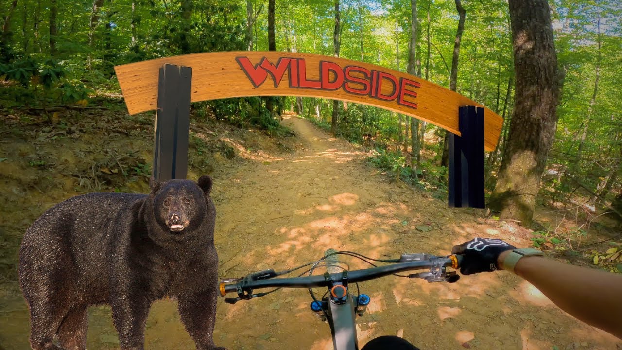 I Almost Hit a 🐻 at Tennessee's NEWEST Downhill MTB Park - Pigeon Forge