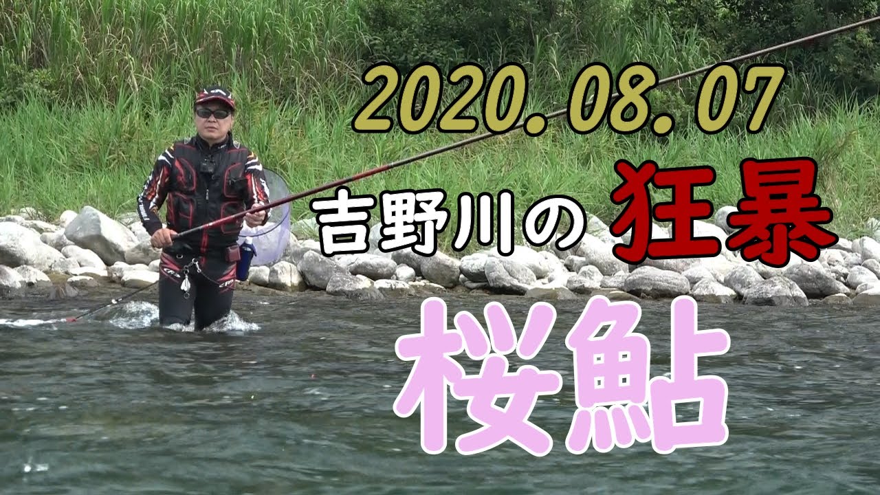 吉野川狂暴桜鮎/友釣編 #1