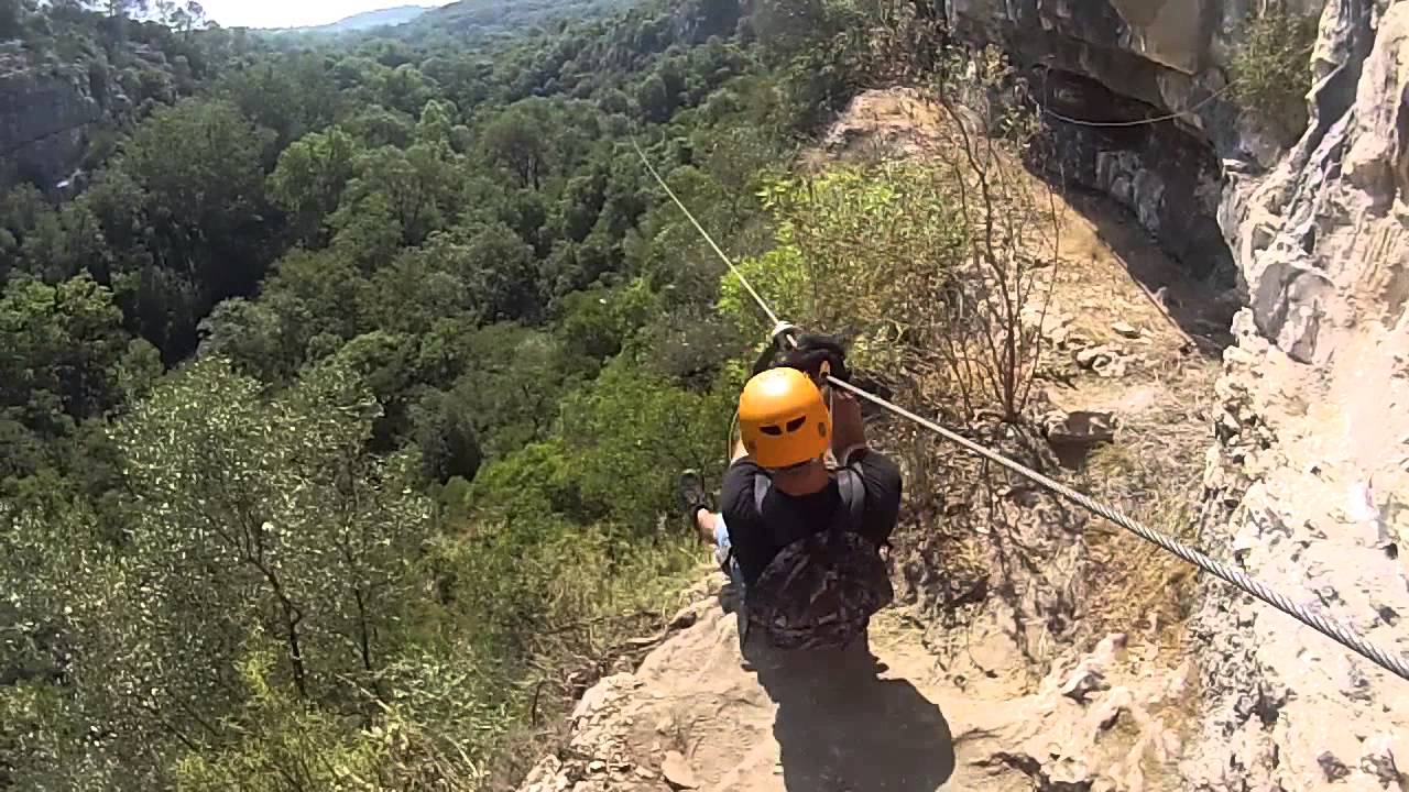 The Canyon Forest !