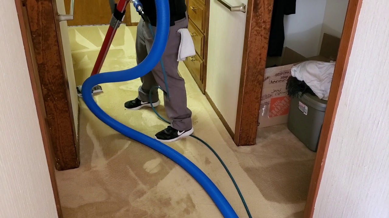 Carpet Cleaners Vlog #103 | Nylon Twist Carpets