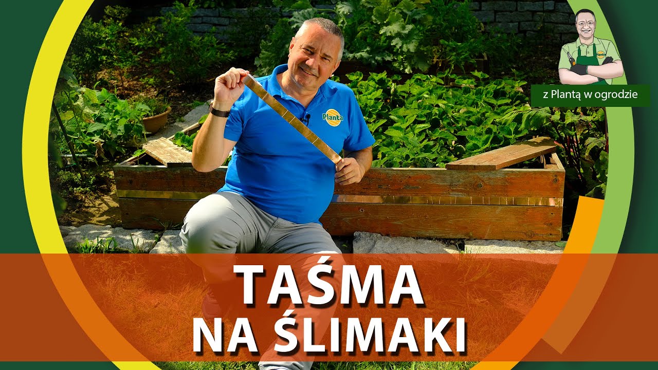 Taśma miedziowana / Ekologiczna walka ze ślimakami - Z PLANTĄ W OGRODZIE