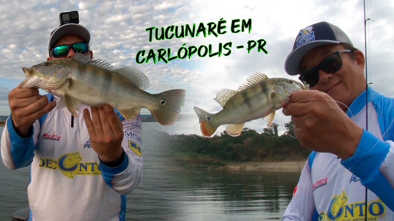 É MUITO TUCUNARÉ nessa represa | Pescaria em Carlópolis com Emilio Tanaka - Parte 1