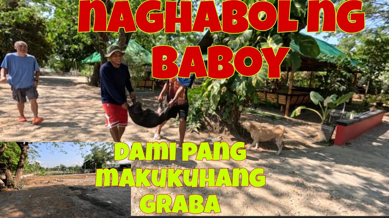 May naka walang baboy | Wala munang nag baklas ng graba
