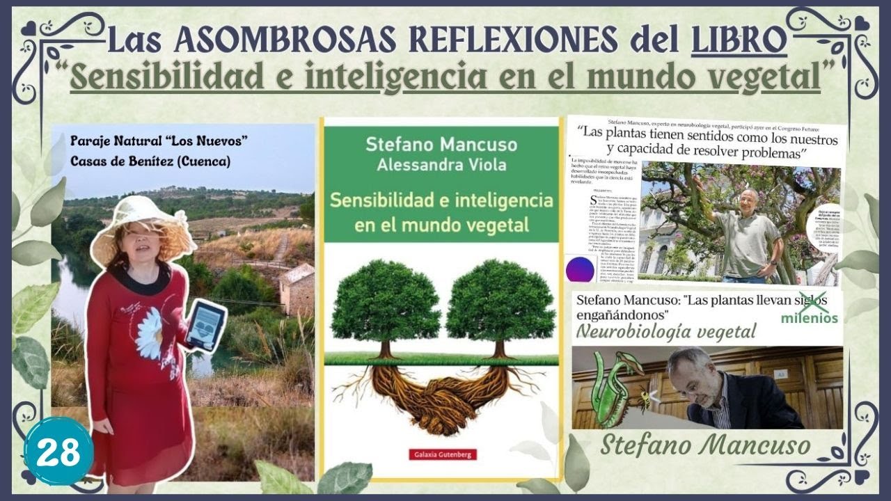 📗🪴Sensibilidad e Inteligencia en el Mundo Vegetal de STEFANO MANCUSO: Los Nuevos en CASAS DE BENÍTEZ