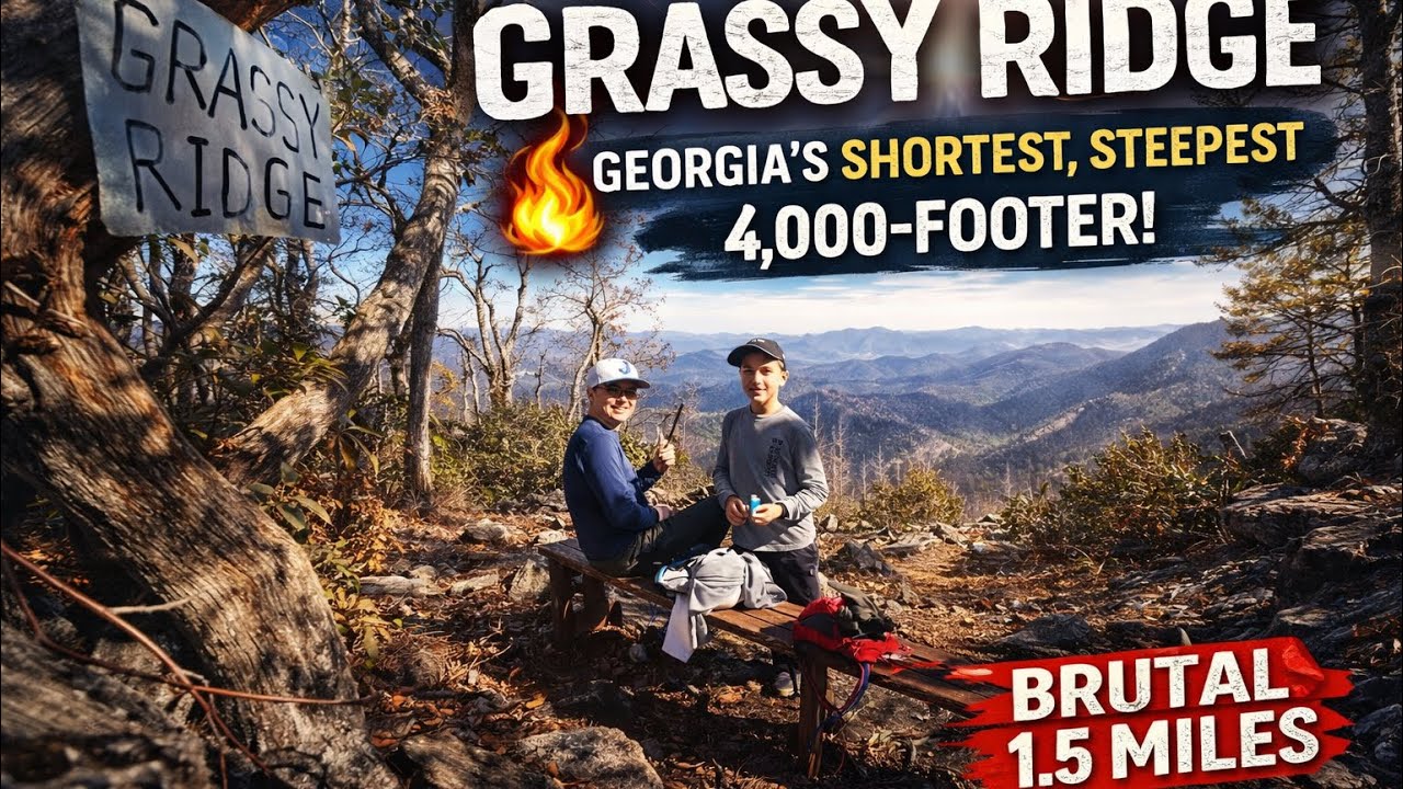 Grassy Ridge: Georgia’s Shortest, Steepest 4,000-Footer (Brutal 1.5 Miles)