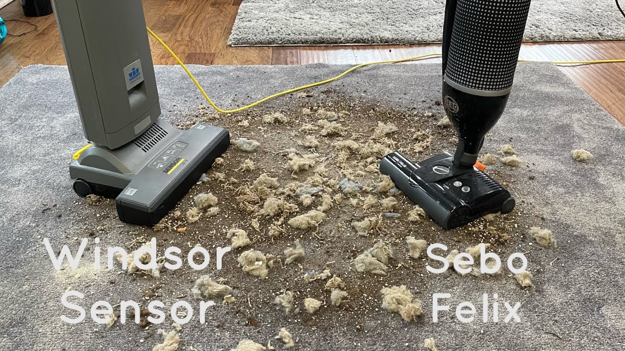 Windsor Sensor XP / Sebo Felix / Mess Test