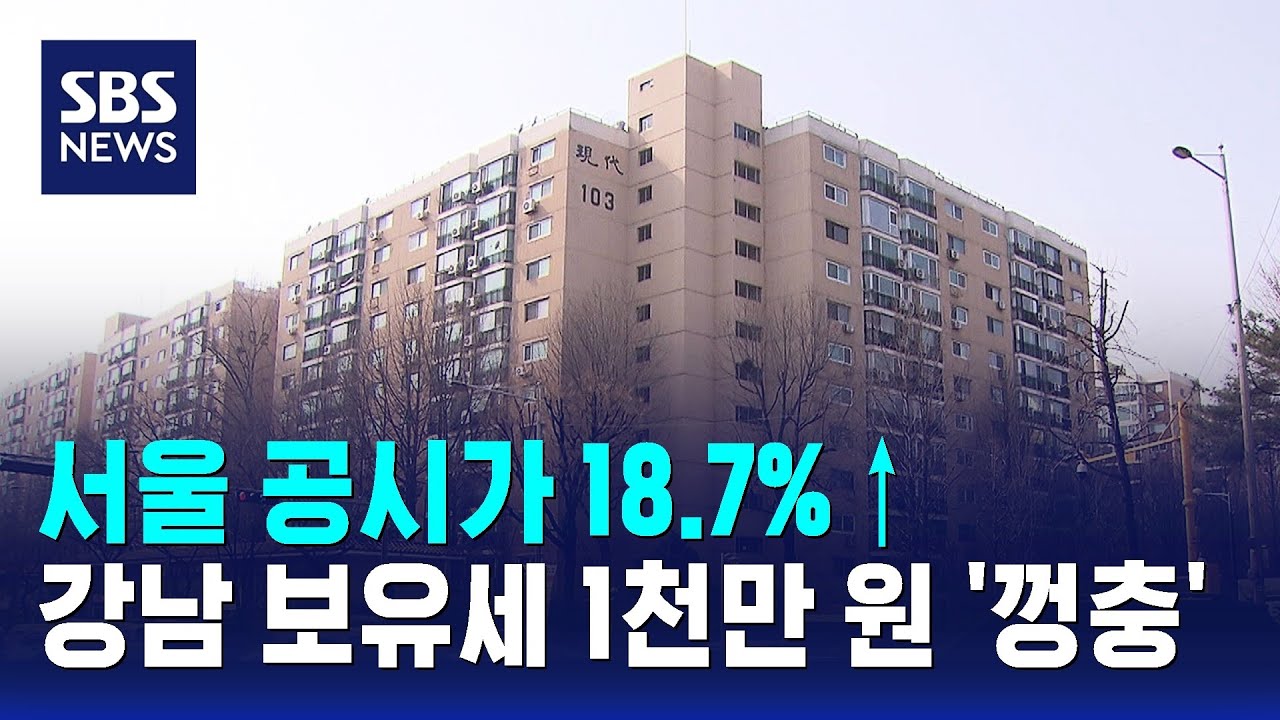 서울 공시가 18.7%↑…강남 보유세 1천만 원 '껑충' / SBS