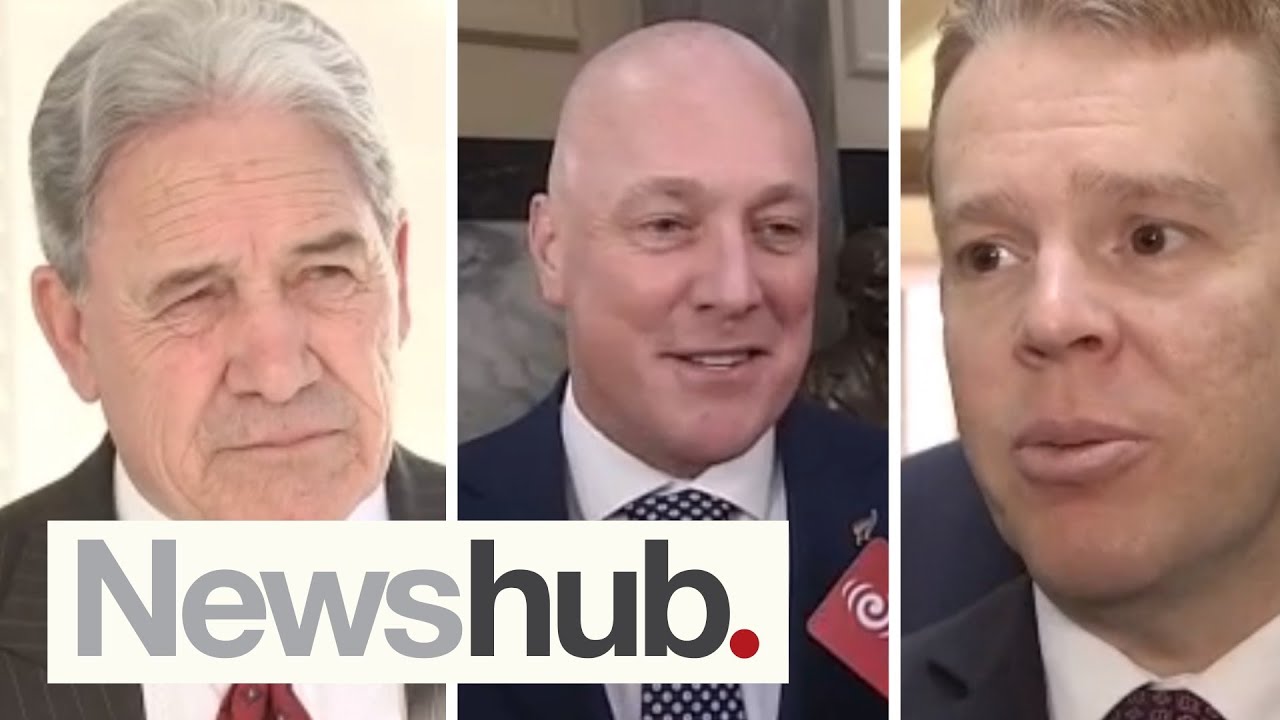 Govt, Winston Peters take aim at National over hinting changes to foreign buyers ban | Newshub