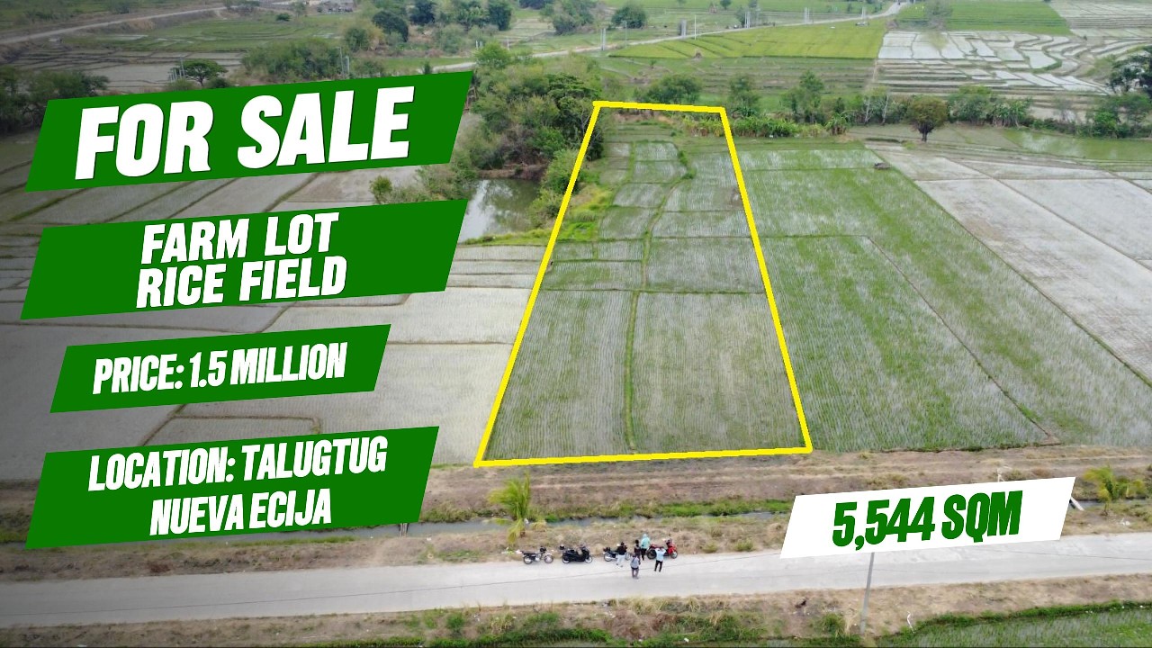 (533) FOR SALE 5,544 SQM IRRITATED FARM LOT, ALONG CEMENTED ROAD, NEAR TOWN PROPER