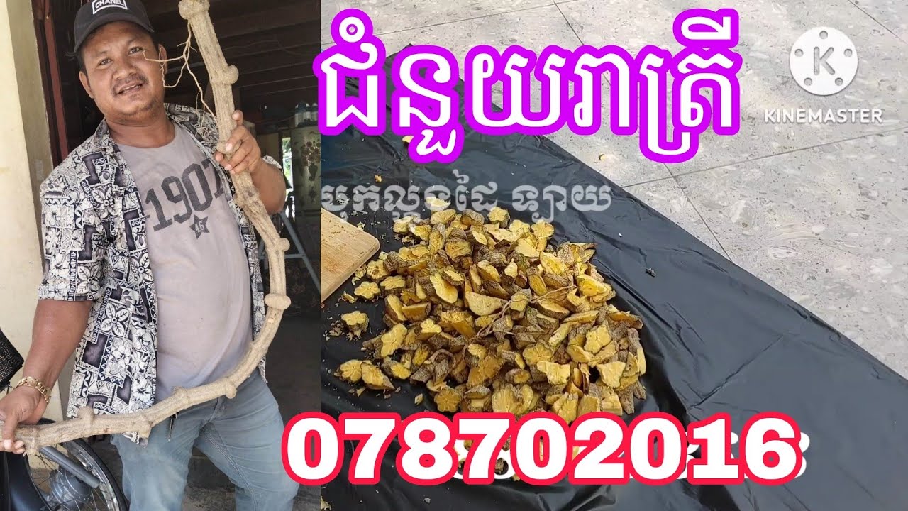 ដើមបាស់ត្រាំស្រា🍷 ជំនួយរាត្រី លេខទូរសព្ទអ្នកលក់ដើមបាស់ 078702016