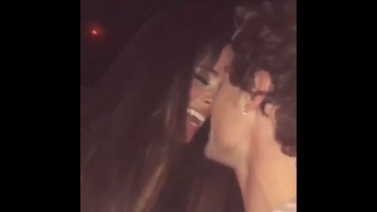 Camila, Shawn, Niall and Lewis Capaldi at a Grammys Afterparty