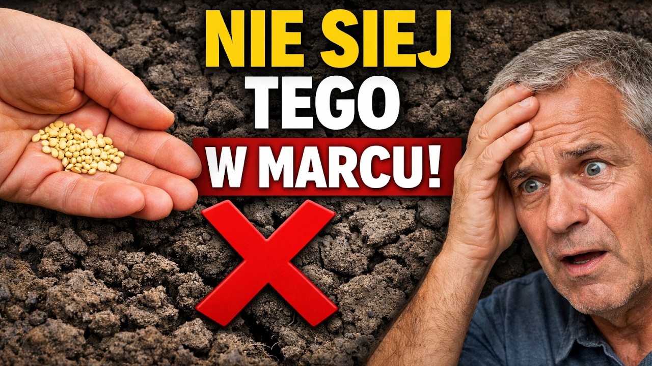 SEKRET Idealnego Ogrodu w 2026: Kompletny Kalendarz Siewu na MARZEC! (Nie popełniaj tych błędów!)
