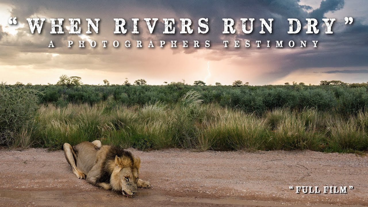 Full Film: WHEN RIVERS RUN DRY - a Photographers Testimony. Kgalagadi Transfrontier Park Documentary