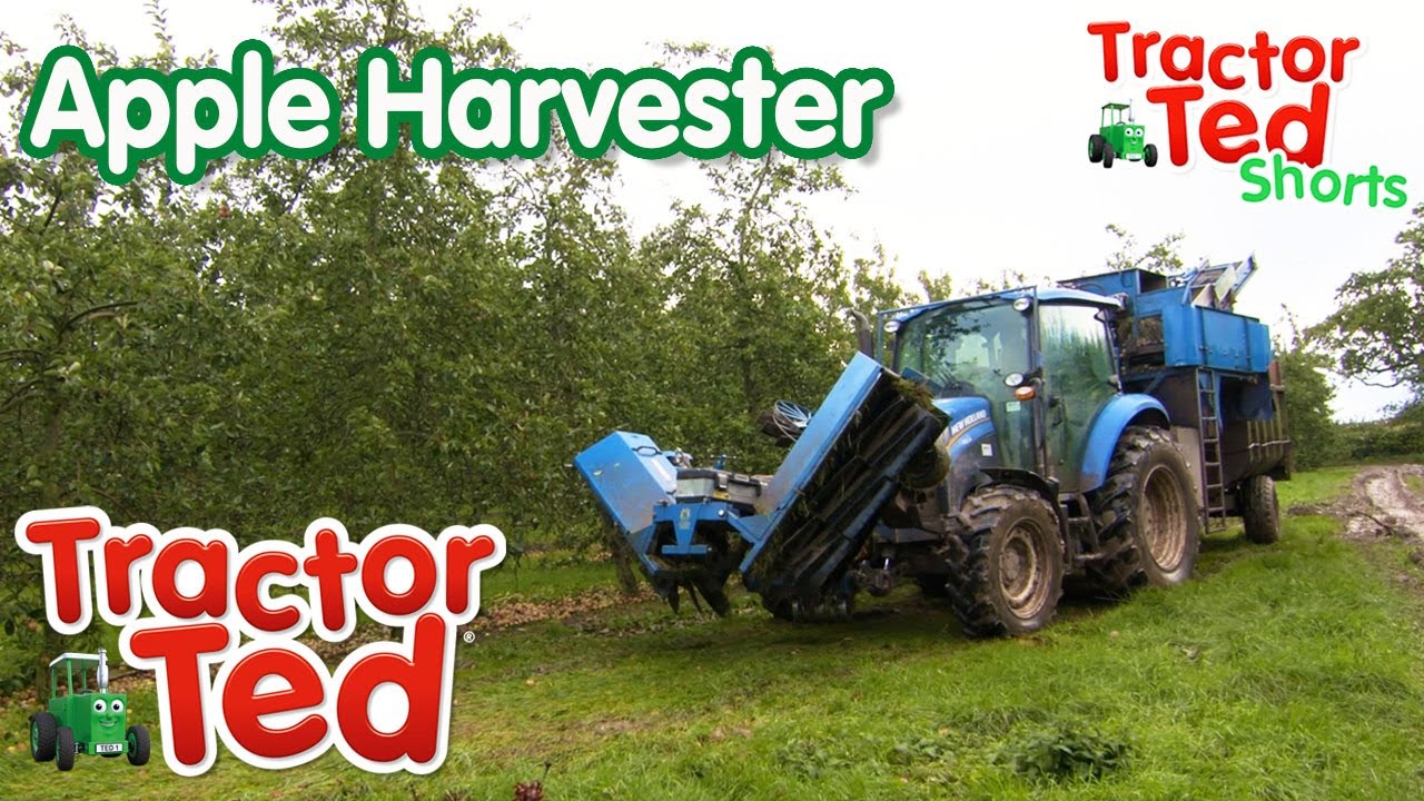 The Apple Harvester 🍎 | Tractor Ted Big Machines | Tractor Ted Official Channel