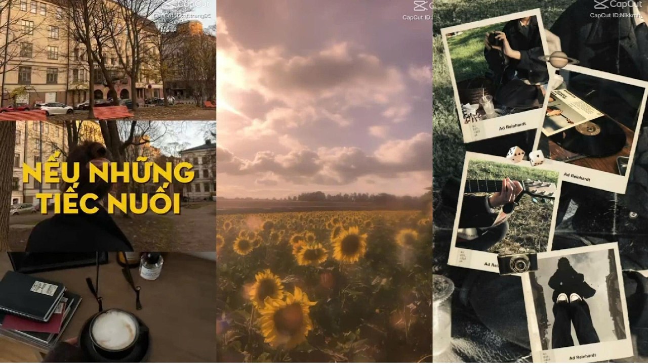 [ Tik Tok ] Tổng hợp những bài nhạc chill cực hay trên capcut/tiktok P3