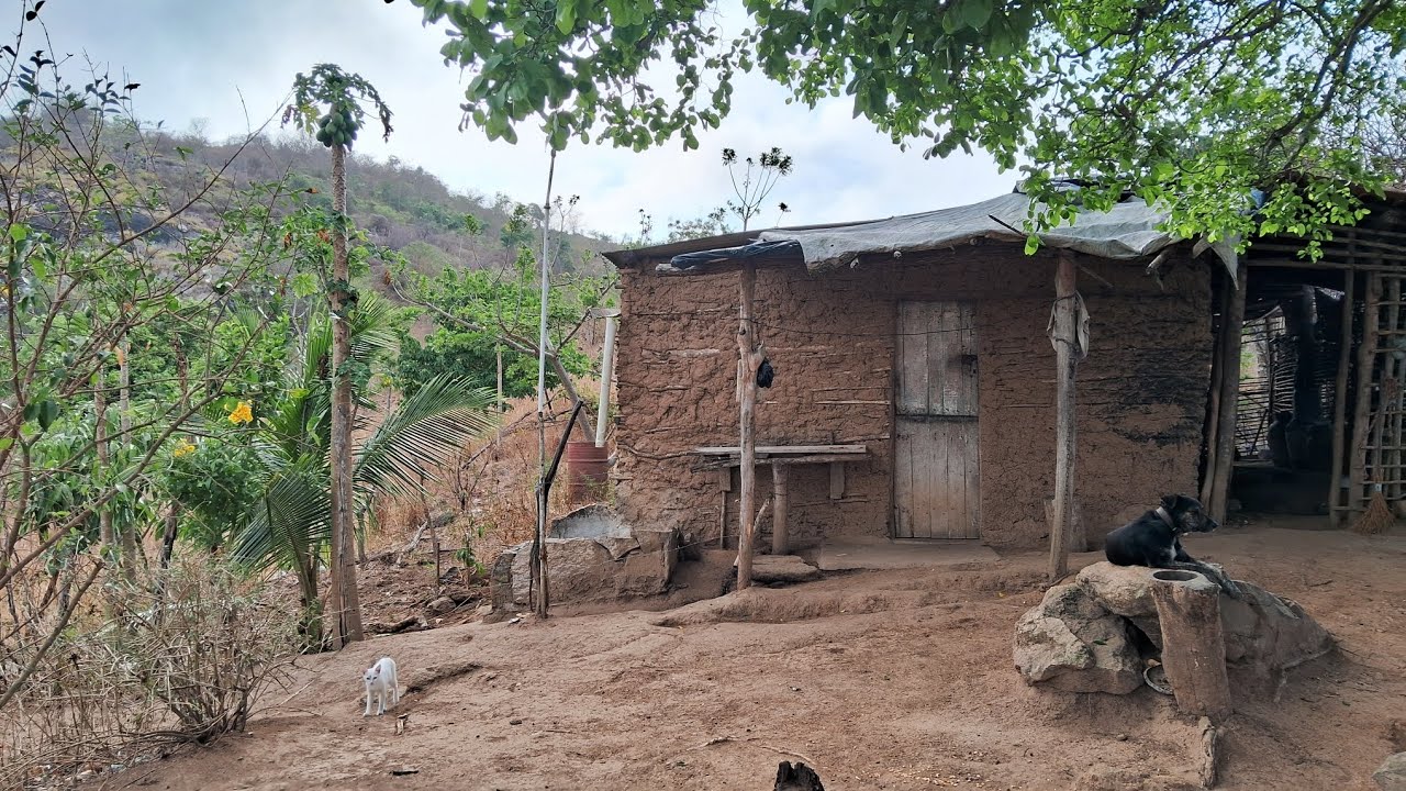 Sítio no roçado? Hoje foi dia de visitar 