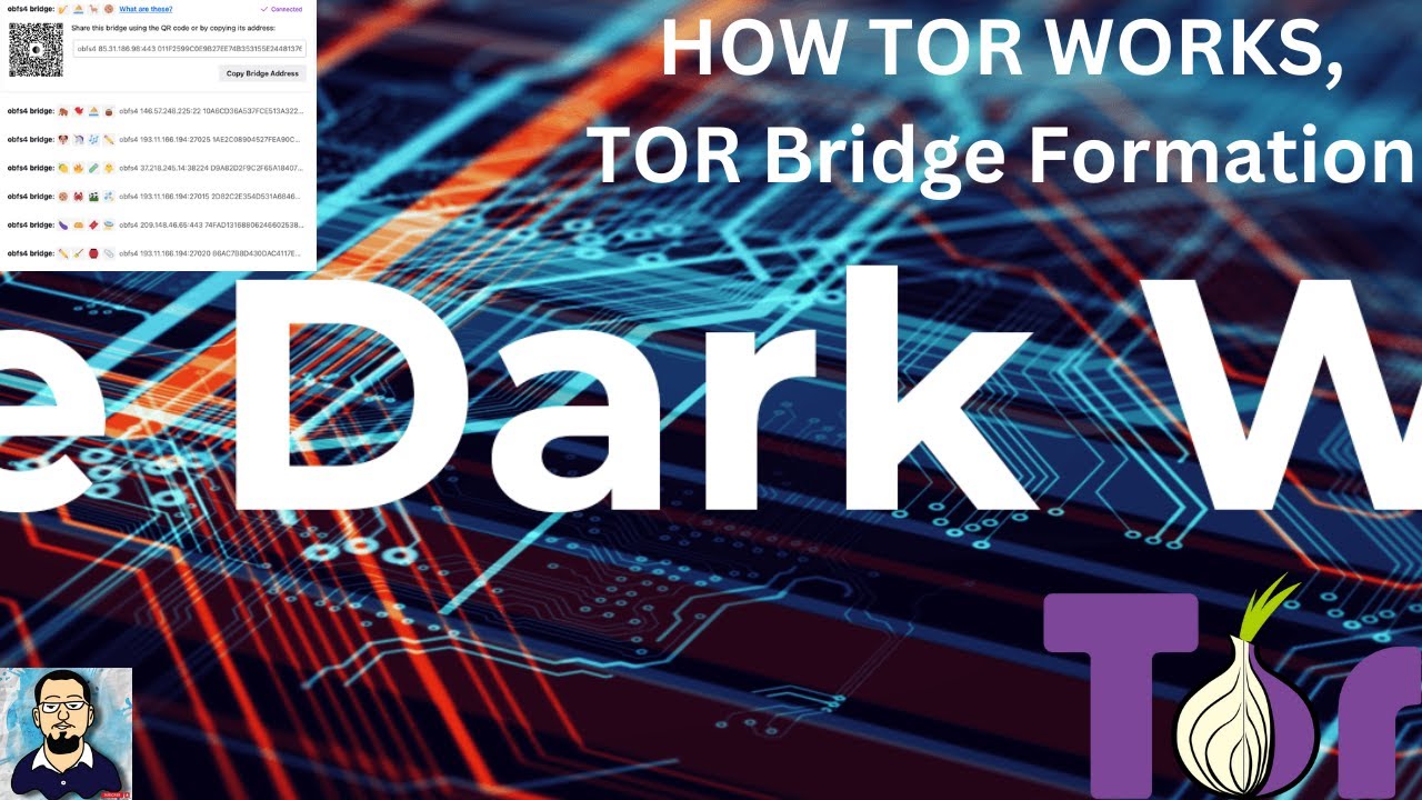 Deep Web | Dark Net | TOR Browser | TOR Bridge | How TOR Bridge is made | How TOR Works