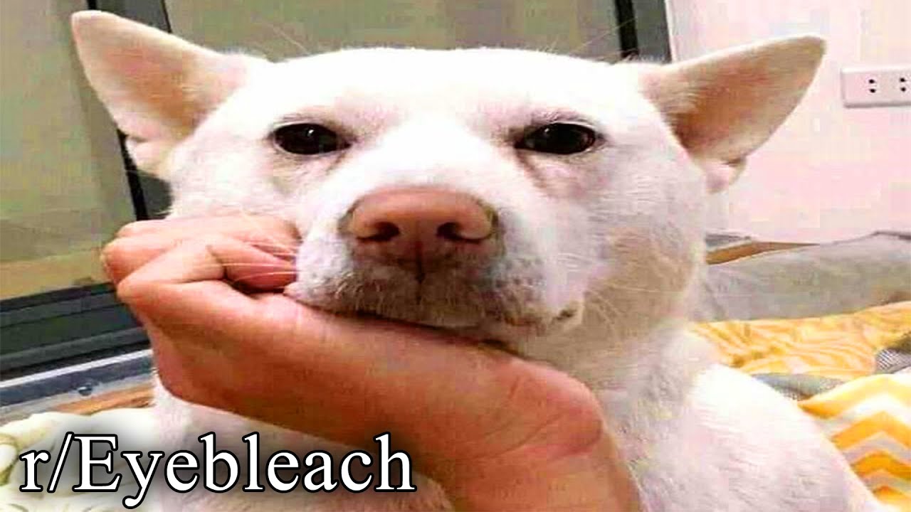 r/Eyebleach | Эй, девчонка, ага