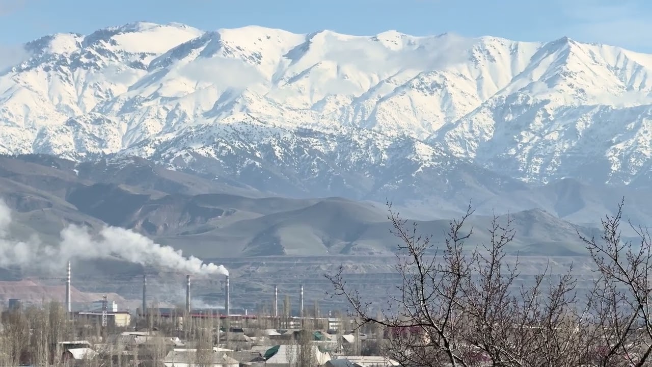 23 февраля 2026 г.