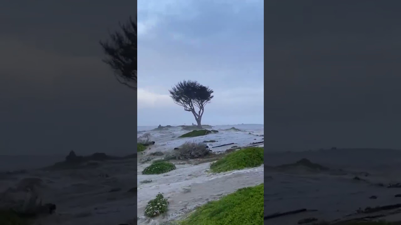 Golfers Flee as Huge Wave Hits Californian Course