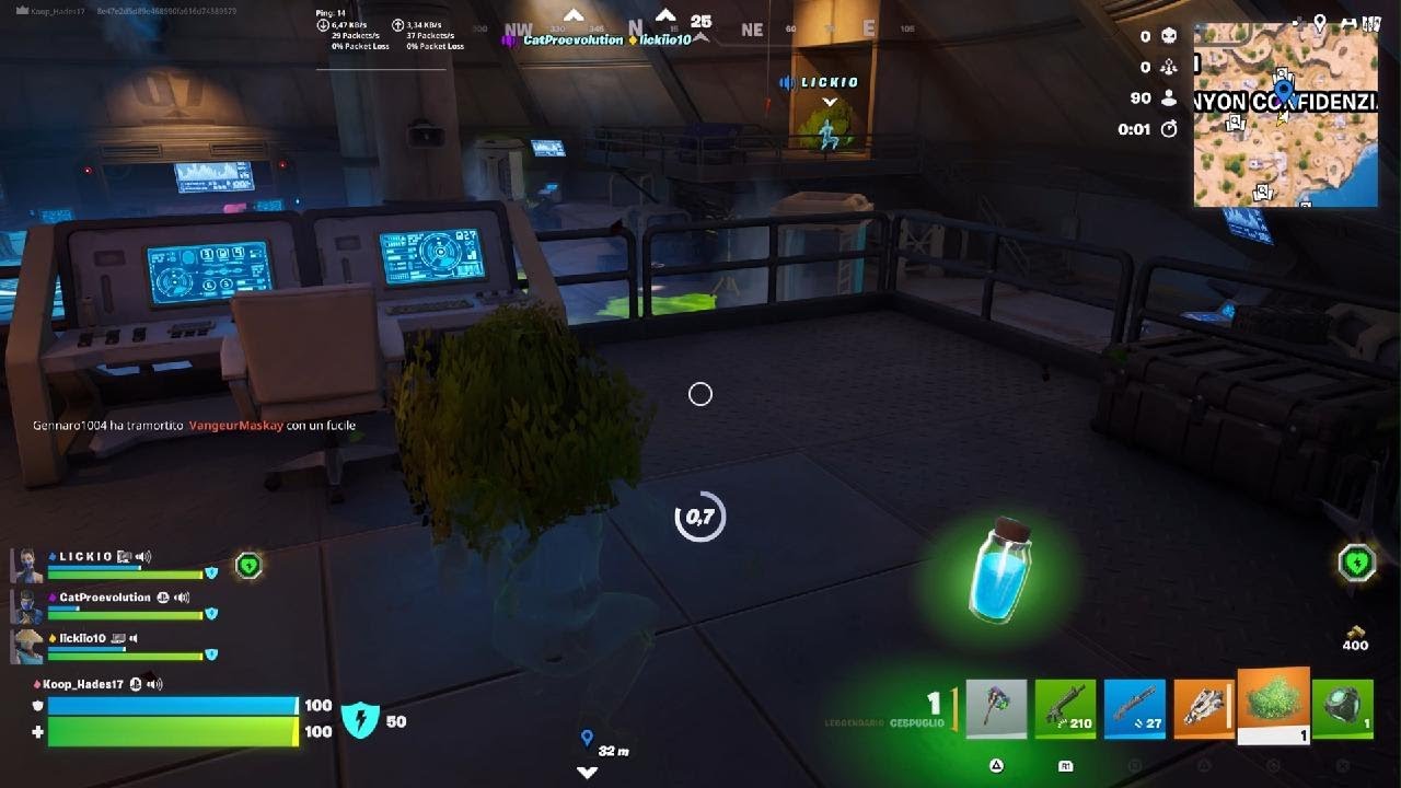 Fortnite the cat