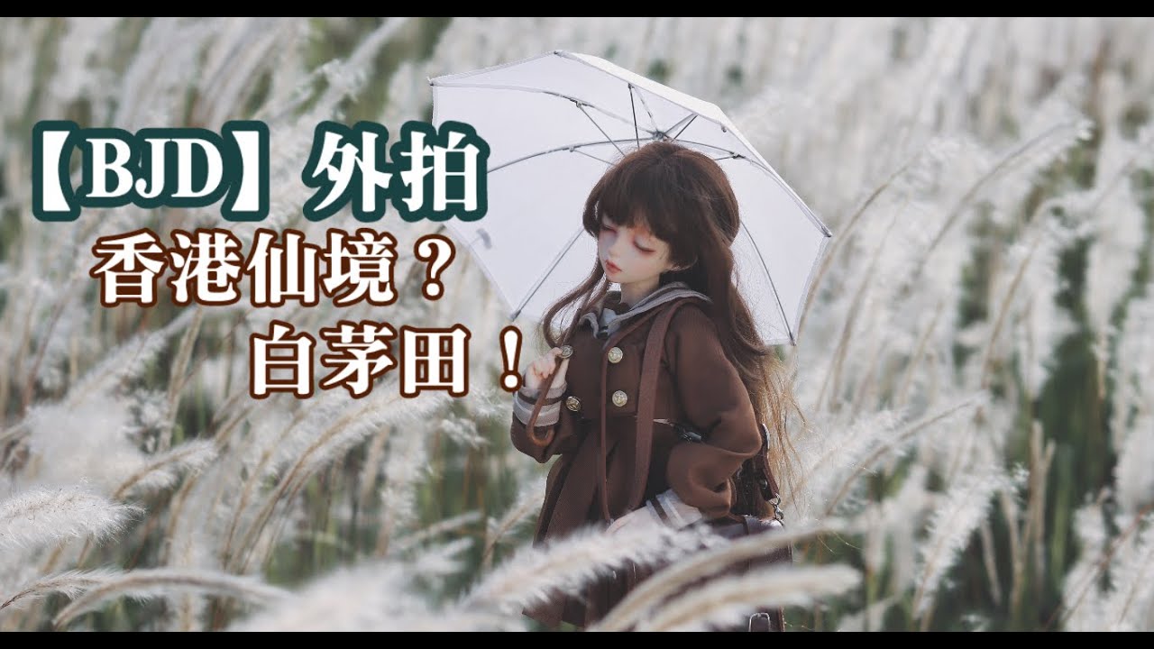 【BJD】娃娃外拍記錄｜香港上水白茅田｜