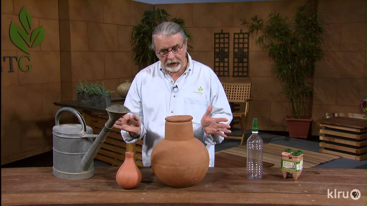 Watering with ollas|John Dromgoole|Central Texas Gardener