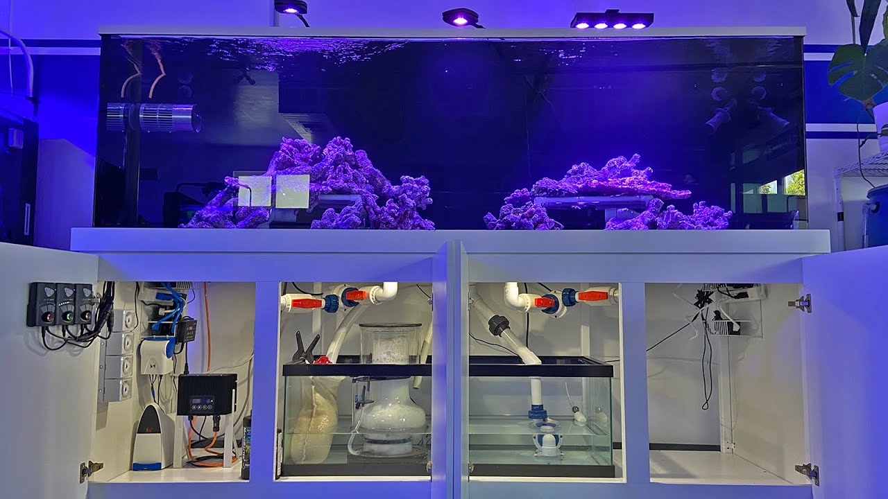 Hardline 400 Gallon Reef НАКОНЕЦ-ТО ЗАРАБОТАЛ!