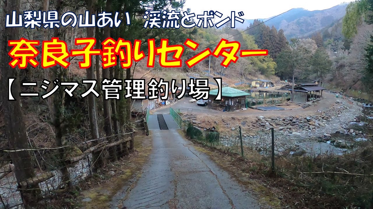 【エリアトラウト】渓流と複数のポンド＠奈良子釣りセンター（山梨県）