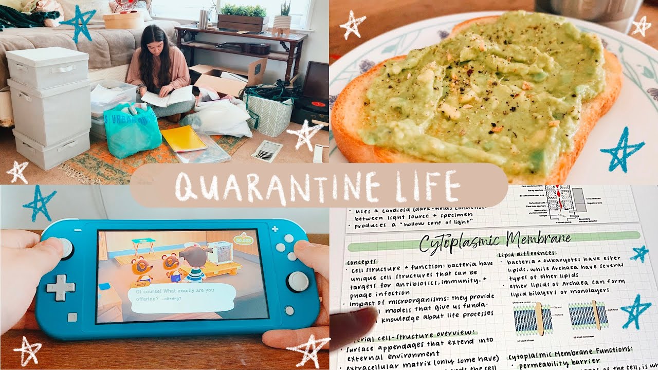 Vlog: Quarantine Productivity, Deep Cleaning & Animal Crossing